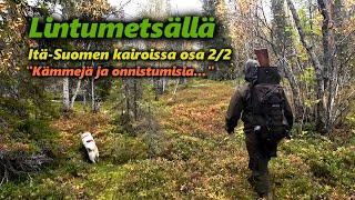 Metsäkanalinnustusta Itä-Suomen kairoissa osa 22