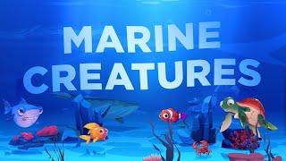 Sea animals for children  Educational cartoons  Inhabitants of the seas and oceans  Sea creatures