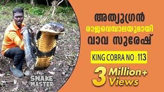 Wow 13 feet long 113th King Cobra rescued  Vava Suresh  Snake Master  Latest episode