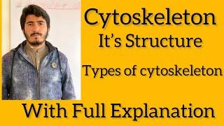 Cytoskeleton Type of cytoskeleton Function of cytoskeleton in class 11