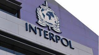 Frika e Serbisë dhe shpresa e Kosovës për INTERPOL