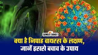 क्या है निपाह वायरस के लक्षण जानें इससे बचाव के उपाय