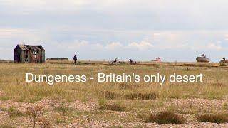 Dungeness