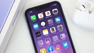 iPhone 11 Review 6 Months Later 2020 Do I Regret Buying It?