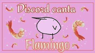 El server de Discord Canta Flamingo • La UwU army • Maddie UwU