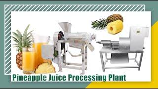 Complate Pineapple Juice Processing Plant  Industrial Pineapple Peeling Machine