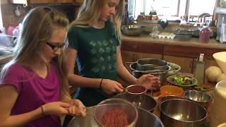 Processing Prickly Pear for Juice Powder & Seed