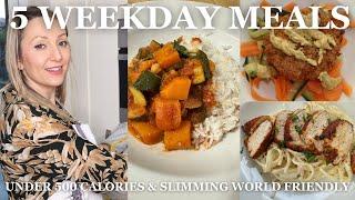 What I Eat In A Week  A Week of Healthy Dinners Low Calorie & Slimming World Friendly