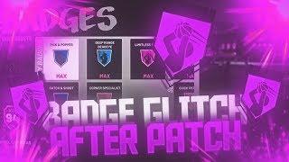 *NEW* NBA 2K19 BADGE GLITCH AFTER PATCH  MAX BADGES in 1 HOUR  HOF BADGE GLITCH  WORKING