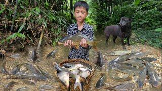 Nams boy with primitive fish catching movements. Pick bamboo shoots to make sour bamboo shoots