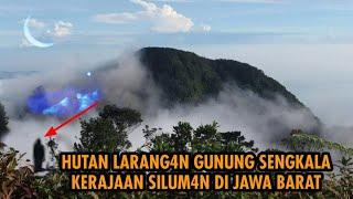 PERJALANAN PANJANG HUTAN GARUT .KAMI BERHENTI D GUNUNG SENGKALA