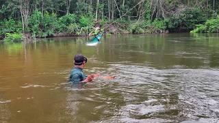 Pescando con arpón robalos y cocinando aventura de pesca por hermoso rio