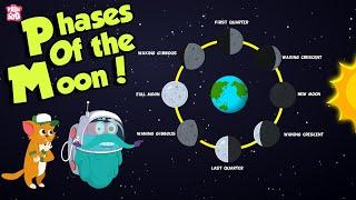 Phases Of The Moon  Why Does The Moon Change Its Shape?  Space  Dr Binocs Show  Peekaboo Kidz