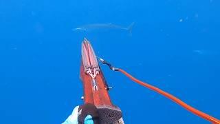 Wahoo Spearfishing from SeaDoo FishPro