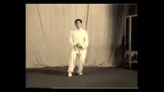 Grandmaster Chen Xiao Wang Lao Jia Yi Lu Taiji Chenstyle taijiquan Chenjiagou