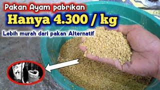 Pakan ayam kampung Murah - bikin Untung peternak