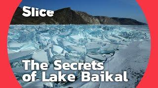 Lake Baikal A biological treasure trove  SLICE