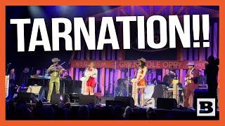 Wut in Tarnation Hammered Elle King Performs Profanity-Laden Dolly Parton Tribute