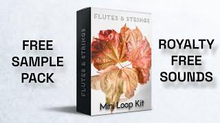 FREE NF Cinematic Sample Pack  Mini Flute Strings Loop Kit 2021