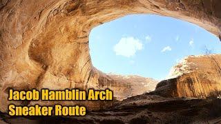 Jacob Hamblin Arch & Coyote Natural Bridge via the Sneaker Route  Coyote Gulch