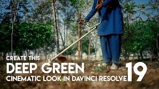 Deep Green LUTs in Davinci Resolve 19 Free Download