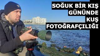 Soğuk Bir Kış Gününde Kuş Fotoğrafçılığı  Fujifilm X-T3 ve Fujinon XF 100-400 Lens