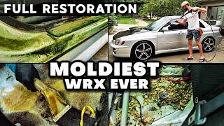 Abandoned WRX Left Sitting For 10 YEARS  Full Car Detailing Restoration  Deep Cleaning