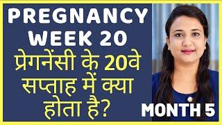 प्रेगनेंसी का 20वा सप्ताह  PREGNANCY WEEK 20