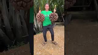 The Most Unique Fruit in the World - Heres How You Eat It #Shorts