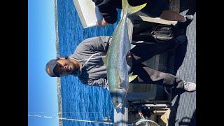 First time Sydney fishing charter  Wahoo Charters