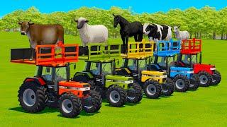 TRANSPORTING COWS SHEEPS HORSES BULLS GOATS & TRACTORS WITH MAN TRUCKS - FS22