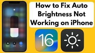 How to Fix Auto Brightness Not Working on iPhone 14 14 Pro 14 Pro Max iOS 16
