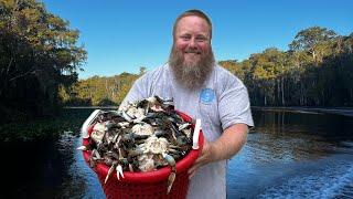 Over 100 BLUE CRABS in 10 Traps  Catch Clean Cook Crab Benedict