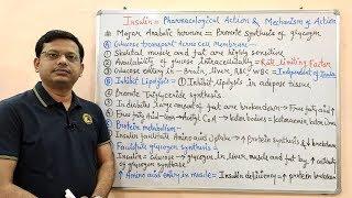 Diabetes Mellitus Part-03 Insulin  Pharmacological Action & Mechanism of Action of Insulin