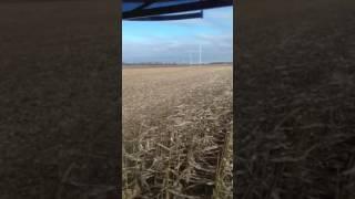 Case IH Axial Flow 6140 harvesting corn