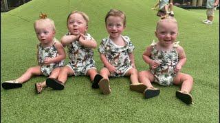 ONE year celebration  zoo with quadruplets