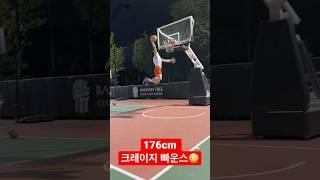 키176cm로 덩크 가능?