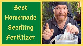 Ultimate Seedling Fertilizer - This Homemade Elixir Is All Your Baby Plants Need