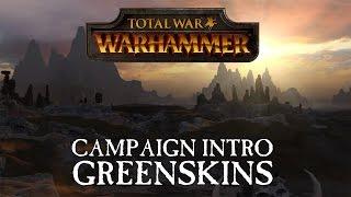 Total War WARHAMMER  Greenskins