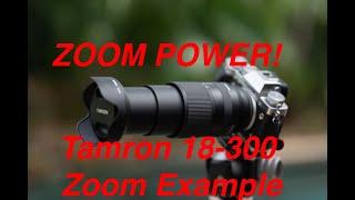 The POWER of ZOOM  Tamron 18-300 Zoom Example on a Fuji XT-3