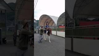 Kudanya Lari Kenceeng  #viral #tiktok #videoanak #kuda #fyp