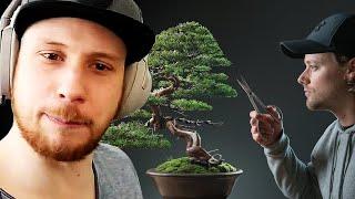 Mein NEUER LIEBLINGS YOUTUBE CHANNEL  - Bonsai Releaf