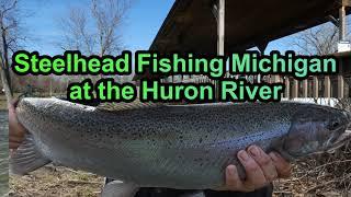 Steelhead Fishing Michigan at the Huron River