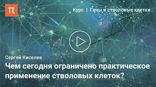 Возможности стволовых клеток взрослого организма – Сергей Киселев