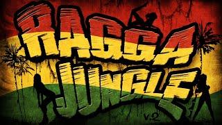 RAGGA JUNGLE - Drum n Bass Mix v.2