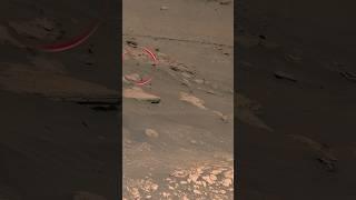 InfMars - Perseverance Sol 474 - Shorts Video 3 “Mars’ Jezero Crater Delta”