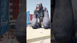 Gorilla on Sand - Gorille sur le Sable