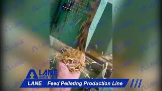 LANE Feed Pellet Machine Granulation Production Line