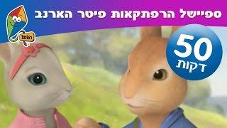 הרפתקאות פיטר הארנב פרקים מלאים בעברית - ערוץ הופ