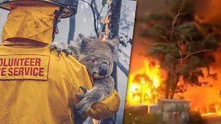 Пожары в АвстралииВидео животных из АвстралииАвстралия 2020Australia bushfires #StayHome